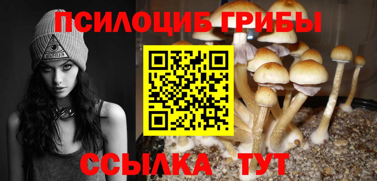 Галлюциногенные грибы мицелий  Галлюциногенные грибы Psilocybine cubensis  Аксай  Вход с VPN 